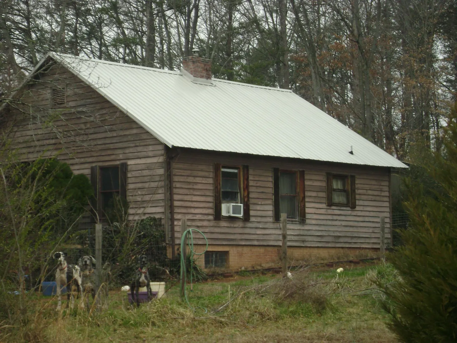 White metal roof on an old wood sided farmhouse, from a Asphalt Shingle Roof Repair job in Chandlersville